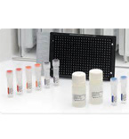 PCR array检测，1 test（336个目的基因）